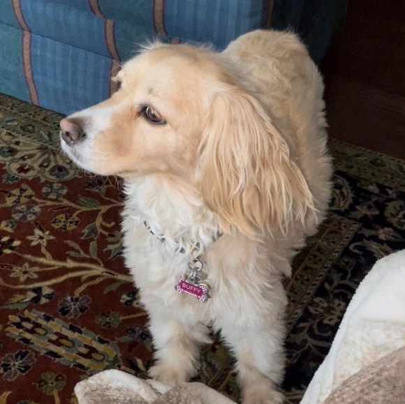 Meet your Posher, John - Picture 1 of 1